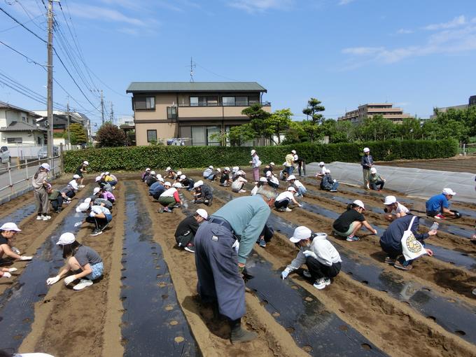 植え付けの様子2