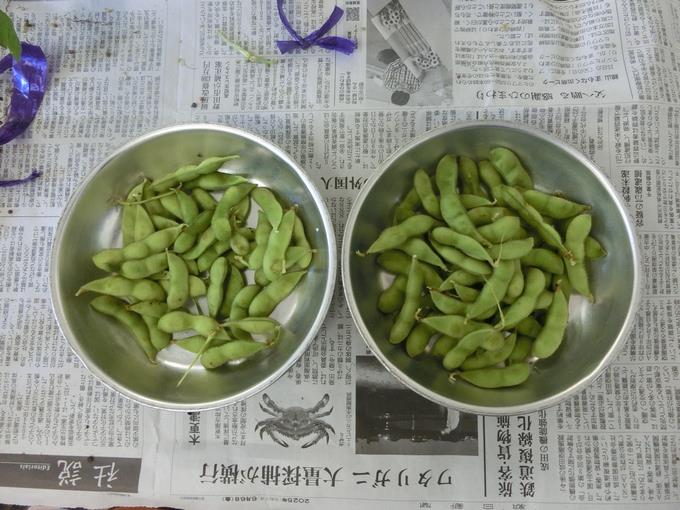 活動の様子2