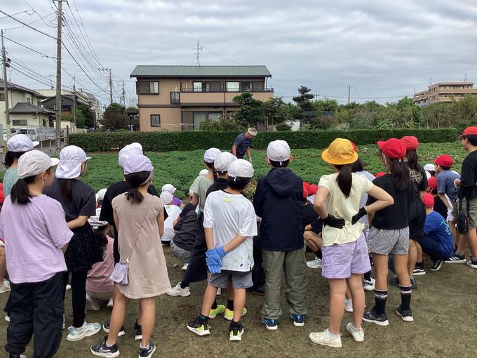 収穫の様子3