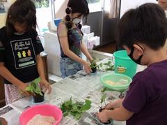カザグルマ挿し木体験　土を固める