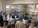 コーシン乳業の工場見学