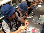 すみだ水族館