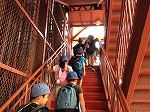 一生懸命登っています