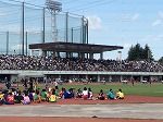 ジャベリックボール