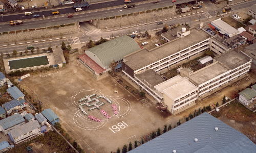 1981年航空写真