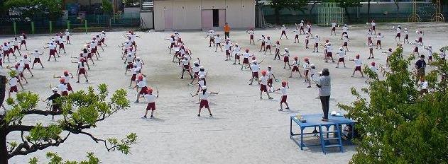 全体