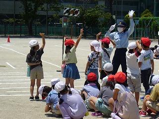 信号を見て手を挙げて渡ります