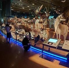 国立科学博物館で学習