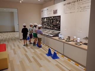 標本もあります