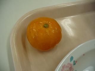 冷凍みかん