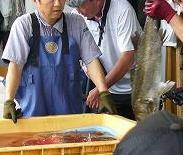 水揚げ