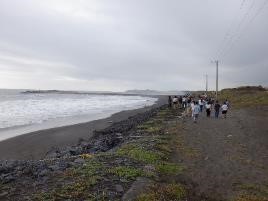 朝の散歩