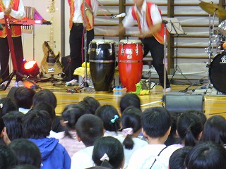 ラテン楽器のコンガ