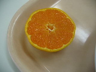 花みかん