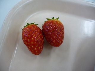 いちご