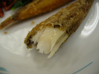 千葉県産めひかり