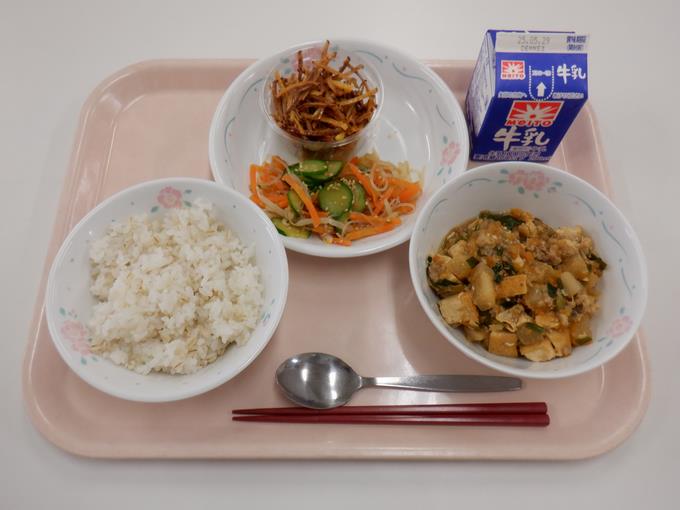 船橋産の春だいこん