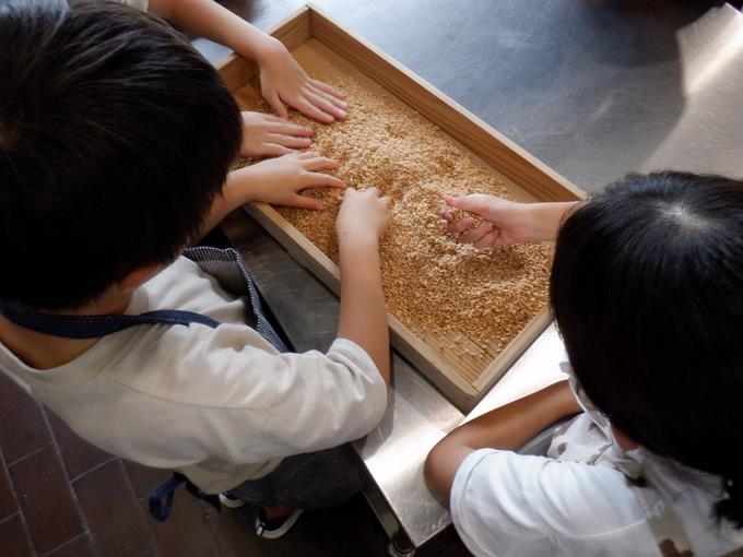 こうじを盛り込む作業