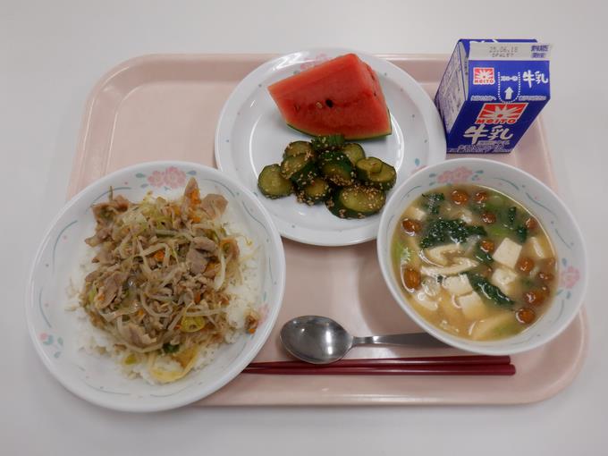 甘くて瑞々しい小玉すいか