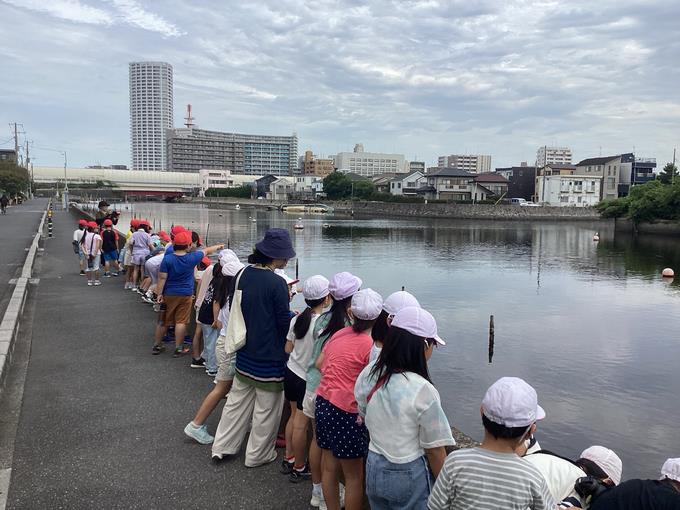 近くの海