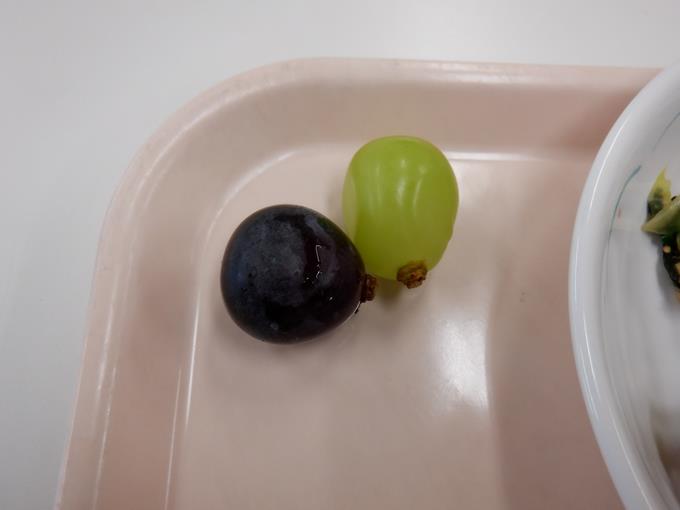 秋の味覚の代表「ぶどう」