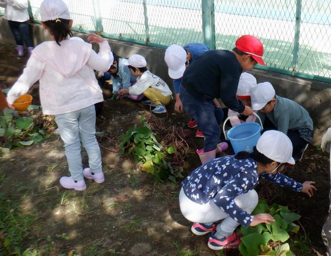 さぁ掘るぞぉー!