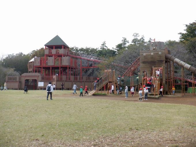 広場で思いっきり体を動かす