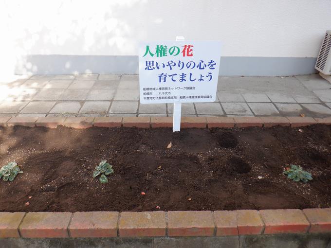 立派な花が咲きますように…