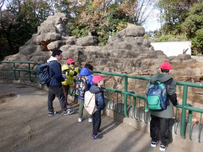 動物を観察し癒やされ…