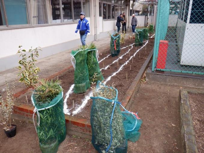 植える位置を確認