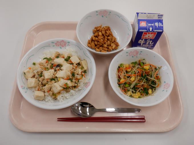 旨味たっぷりマーボー丼