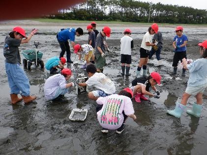 干潟で生き物探し
