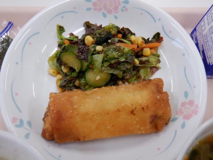 サラダと包み揚げ