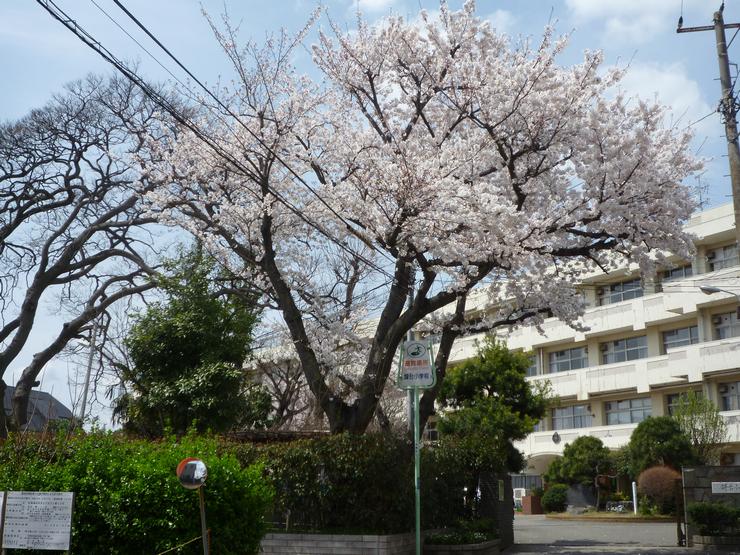 トップイメージ