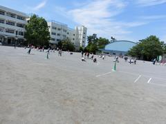 除草作業1