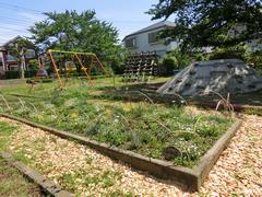 除草作業3
