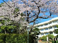 峰台小学校