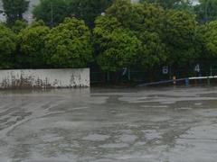 大雨2