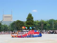6年生6