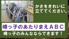 集会