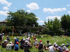 田植え体験6