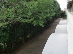 昇降口