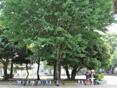 給水タイム