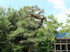体育館前