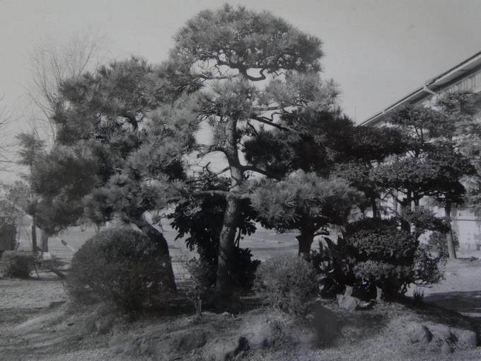 1960ロータリー