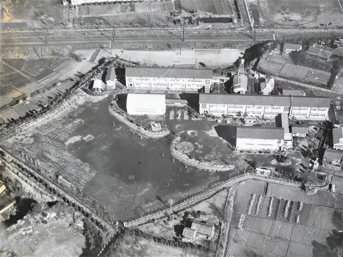 1964年