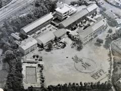 1972年