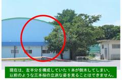 現在