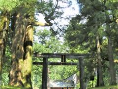 東照宮へ2