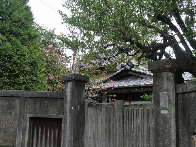 町探検1